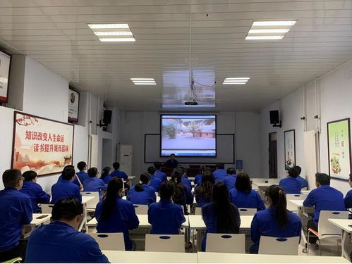 扬五四精神 激扬澎湃青春——教育信息咨询的使命与路径